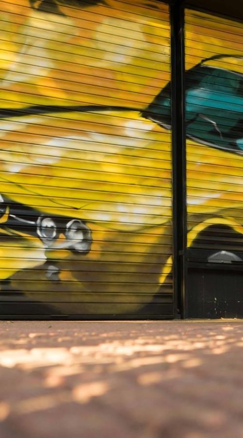 Cierre con mural de Rolls-Royce amarillo para Autoescuela Gala en estilo graffiti
