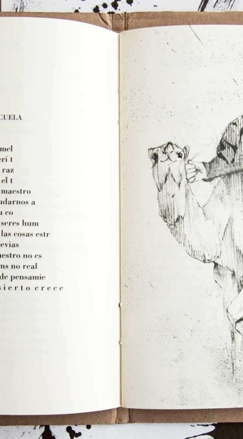 Ilustraciones para libros