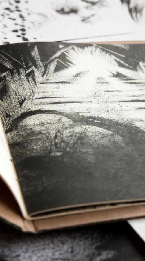 Ilustraciones para libros