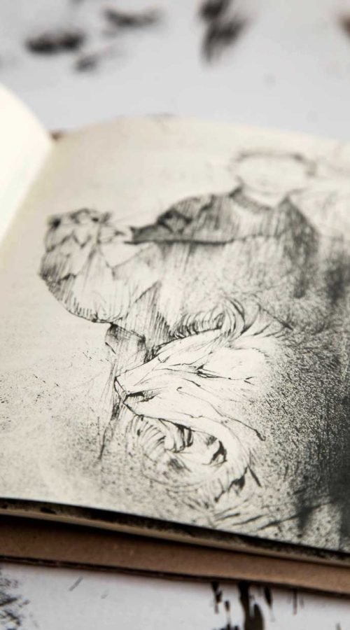 Ilustraciones para libros