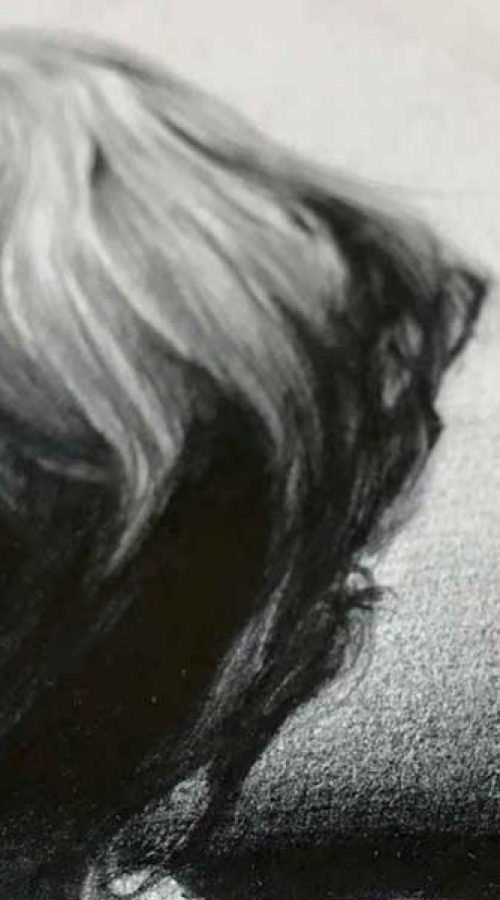 ilustracion retrato personalizado mujer asiatica