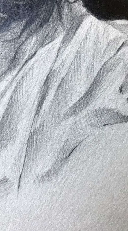 ilustracion retrato personalizado mujer asiatica