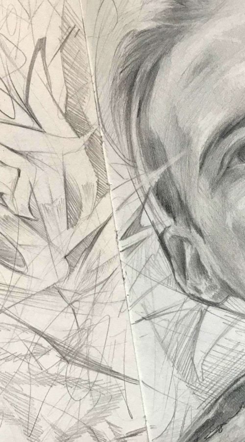 Retrato personalizado lapiz