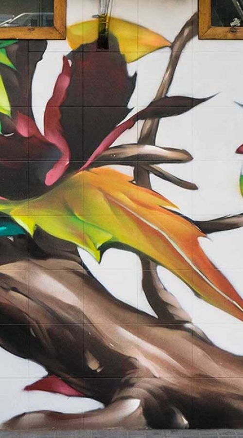 Mural con ramas y hojas en fachada de Farmacia Parque9, graffiti para imagen de salud