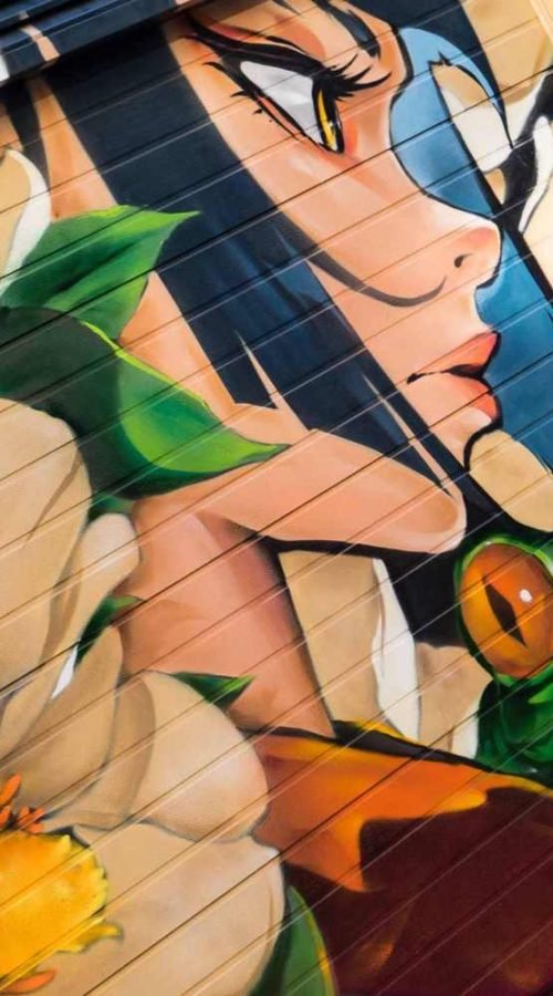 Detalle del mural de arte urbano en Salamanca con princesa, rana y flores sobre cierre metálico