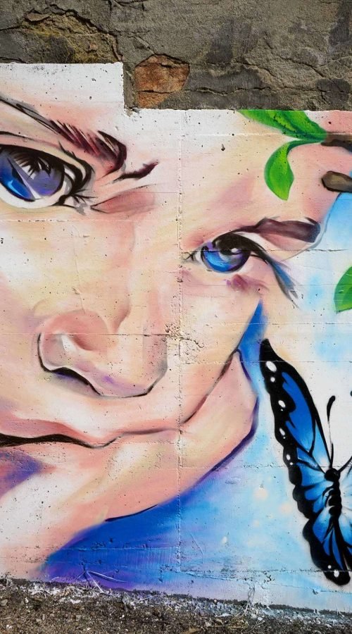 murales en colegios publicos y privados