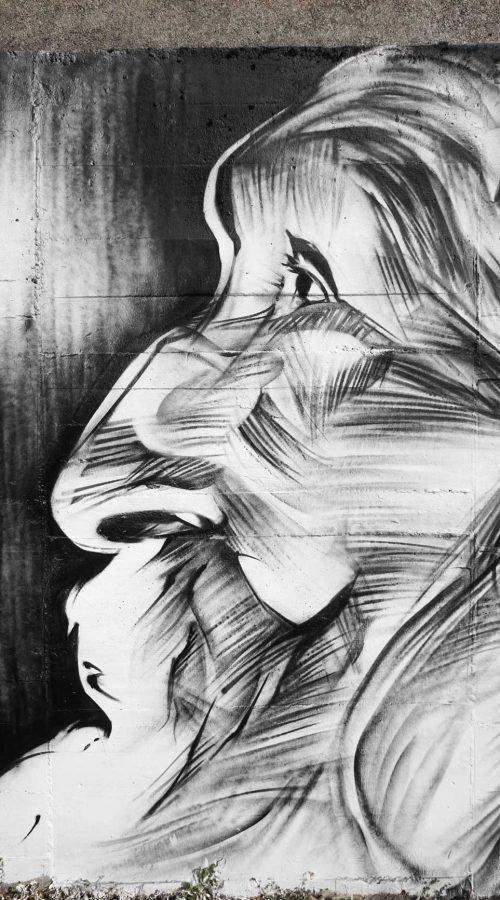 murales en colegios publicos y privados