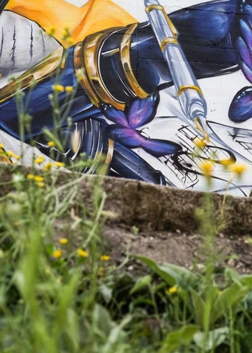 murales en colegios publicos y privados