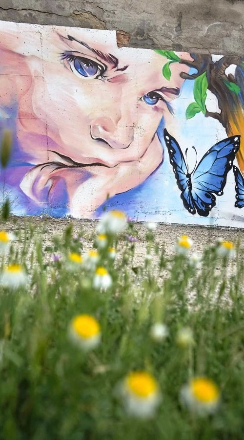 murales en colegios publicos y privados