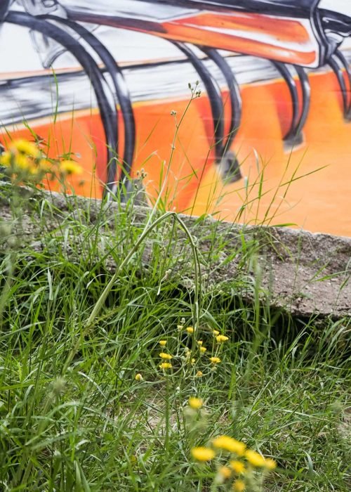 murales en colegios publicos y privados