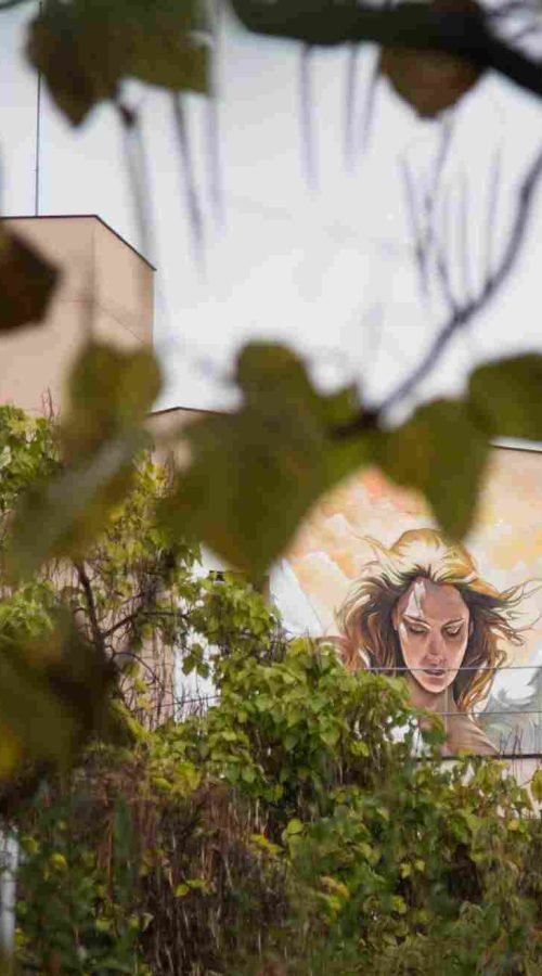 murales institucionales de gran formato para fachadas públicas