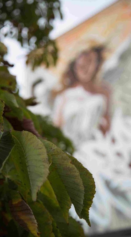 Mural de gran formato para institución pública en Madrid: