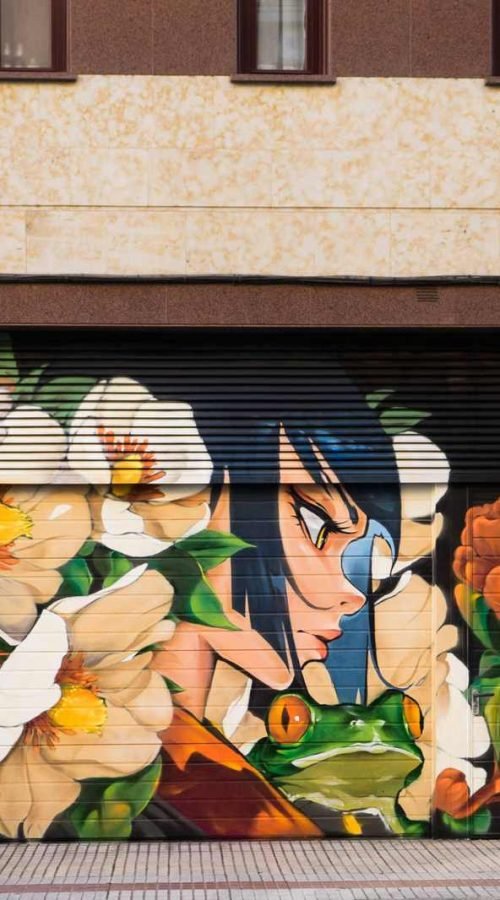 Mural ganador en una puerta de garaje del Barrio del Oeste de Salamanca, con princesa, rana y flores