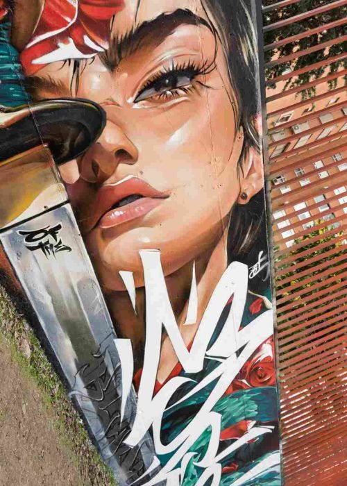 mural madrid the edge of the blade retrato femenino con rosas y serpiente tipografía graffiti blanca barrio del pilar