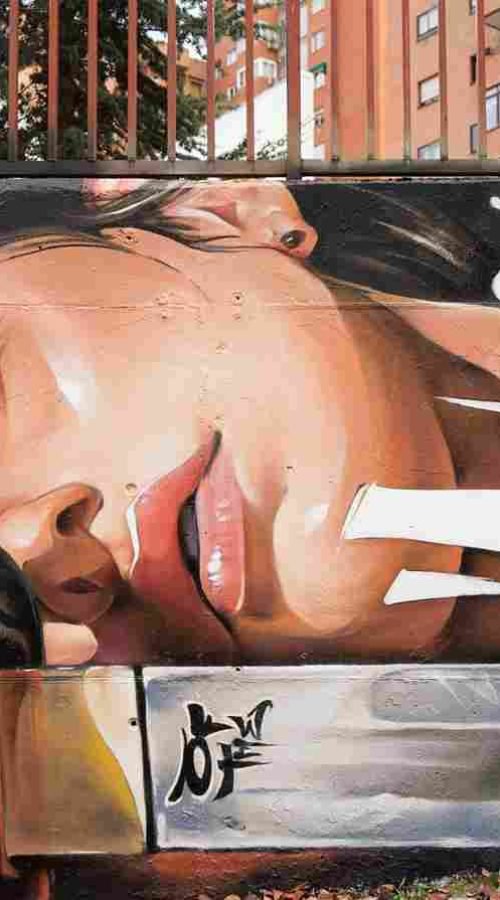 mural madrid the edge of the blade retrato femenino con rosas y serpiente tipografía graffiti blanca barrio del pilar