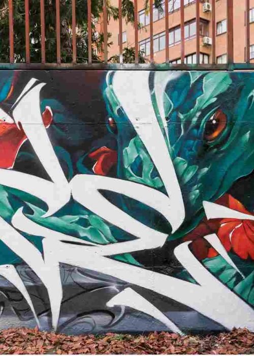 mural madrid the edge of the blade retrato femenino con rosas y serpiente tipografía graffiti blanca barrio del pilar