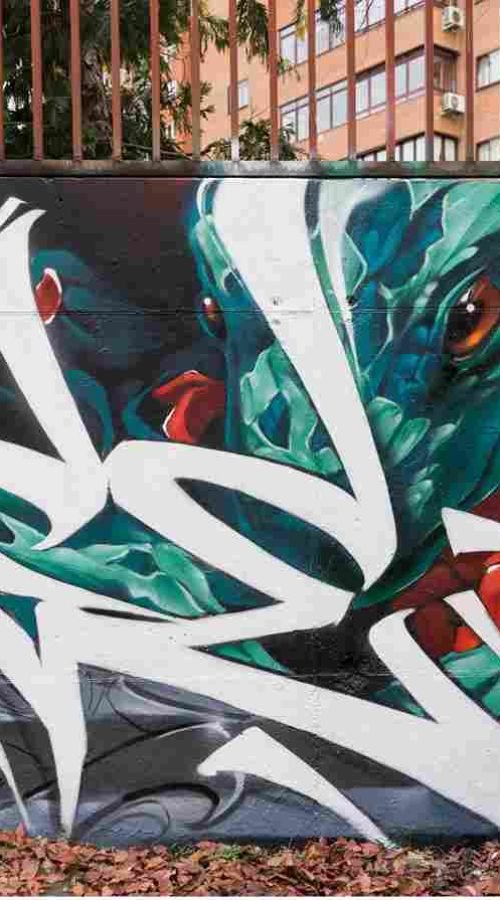 mural madrid the edge of the blade retrato femenino con rosas y serpiente tipografía graffiti blanca barrio del pilar