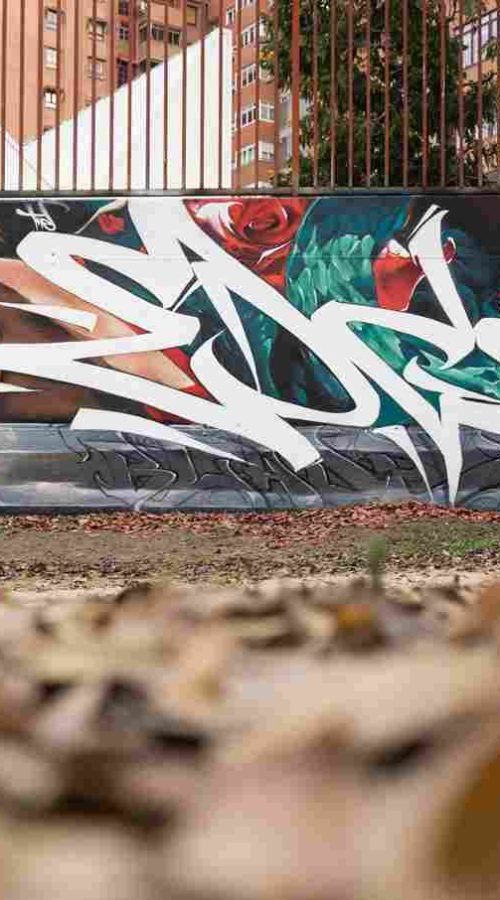 mural madrid the edge of the blade retrato femenino con rosas y serpiente tipografía graffiti blanca barrio del pilar