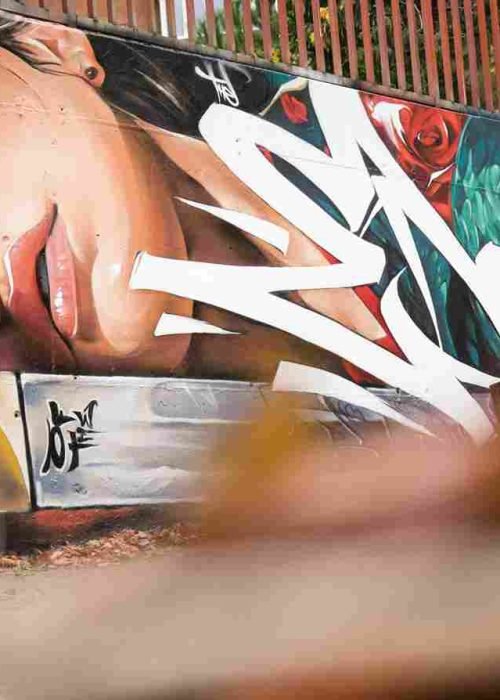 mural madrid the edge of the blade retrato femenino con rosas y serpiente tipografía graffiti blanca barrio del pilar