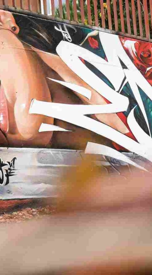 mural madrid the edge of the blade retrato femenino con rosas y serpiente tipografía graffiti blanca barrio del pilar