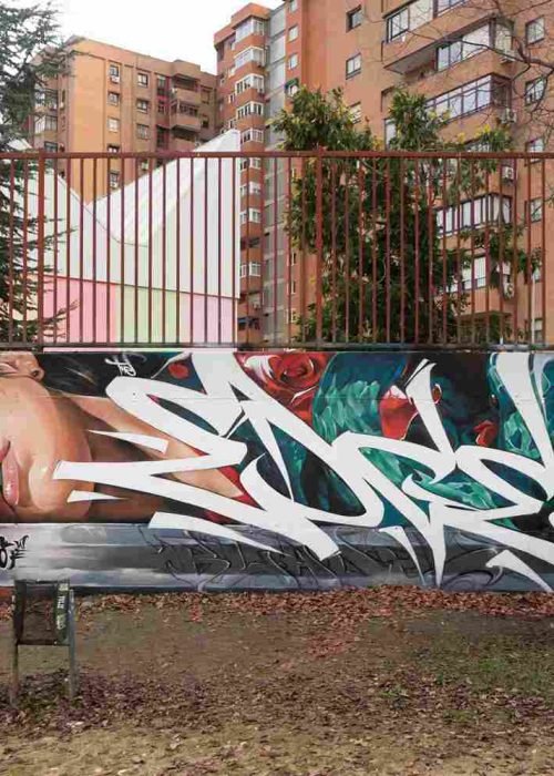 mural madrid the edge of the blade retrato femenino con rosas y serpiente tipografía graffiti blanca barrio del pilar