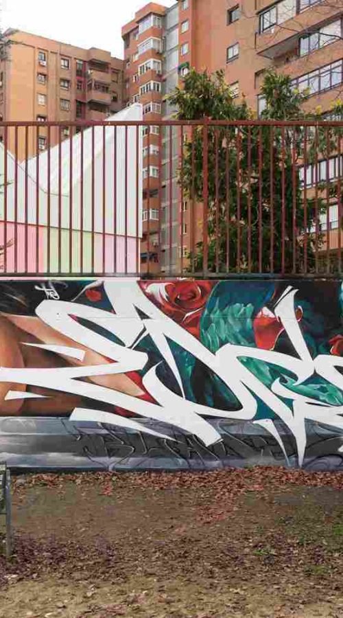 mural madrid the edge of the blade retrato femenino con rosas y serpiente tipografía graffiti blanca barrio del pilar