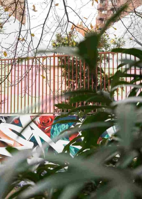 mural madrid the edge of the blade retrato femenino con rosas y serpiente tipografía graffiti blanca barrio del pilar
