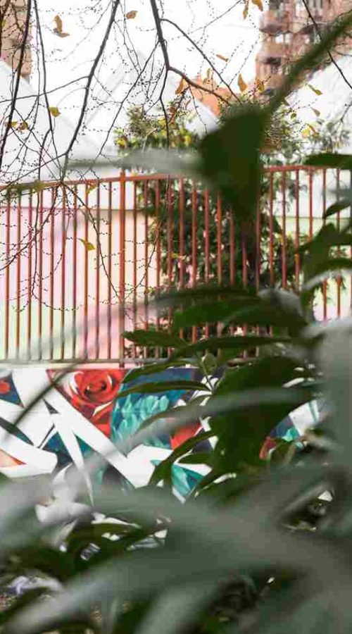 mural madrid the edge of the blade retrato femenino con rosas y serpiente tipografía graffiti blanca barrio del pilar