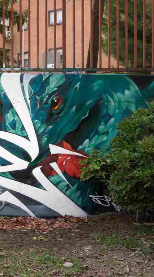 mural madrid the edge of the blade retrato femenino con rosas y serpiente tipografía graffiti blanca barrio del pilar