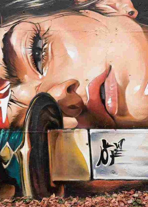 mural madrid the edge of the blade retrato femenino con rosas y serpiente tipografía graffiti blanca barrio del pilar