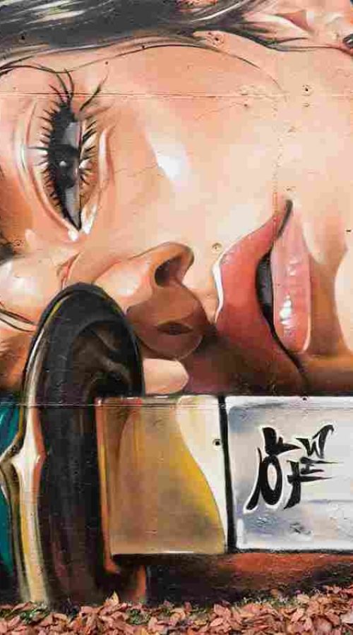 mural madrid the edge of the blade retrato femenino con rosas y serpiente tipografía graffiti blanca barrio del pilar