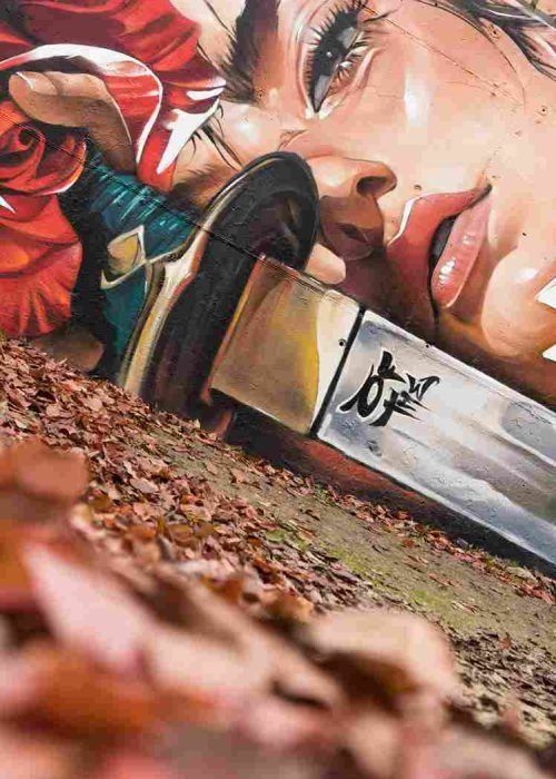 mural madrid the edge of the blade retrato femenino con rosas y serpiente tipografía graffiti blanca barrio del pilar