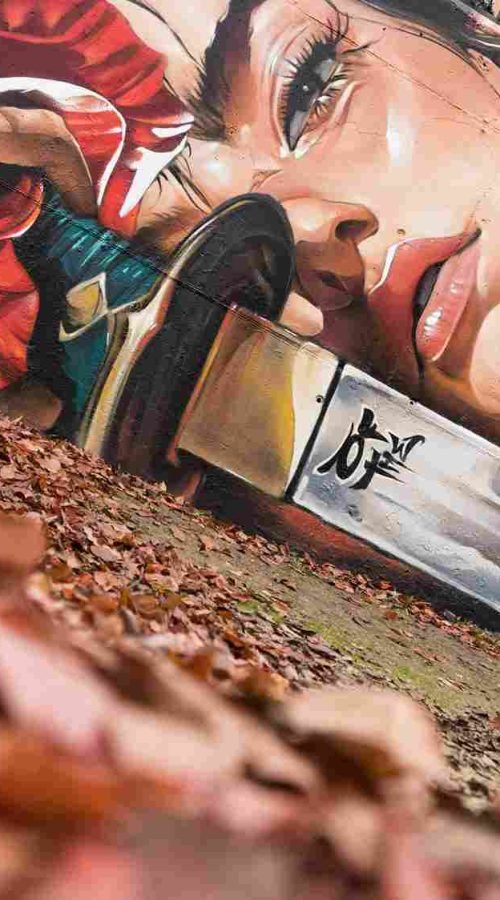 mural madrid the edge of the blade retrato femenino con rosas y serpiente tipografía graffiti blanca barrio del pilar