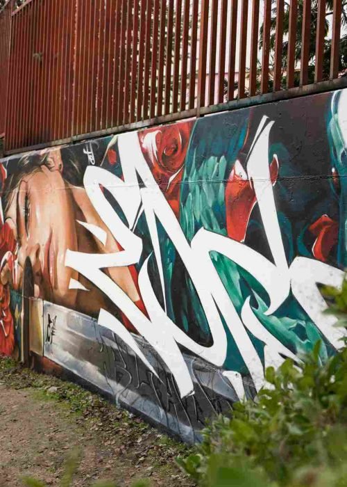 mural madrid the edge of the blade retrato femenino con rosas y serpiente tipografía graffiti blanca barrio del pilar