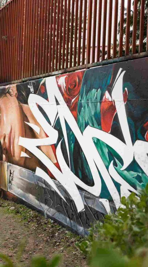 mural madrid the edge of the blade retrato femenino con rosas y serpiente tipografía graffiti blanca barrio del pilar