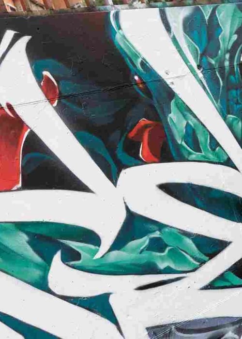 mural madrid the edge of the blade retrato femenino con rosas y serpiente tipografía graffiti blanca barrio del pilar