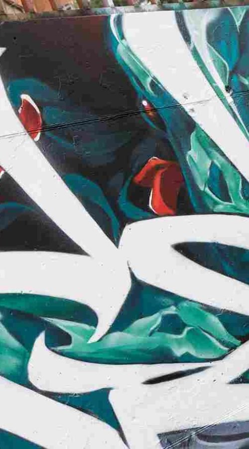 mural madrid the edge of the blade retrato femenino con rosas y serpiente tipografía graffiti blanca barrio del pilar