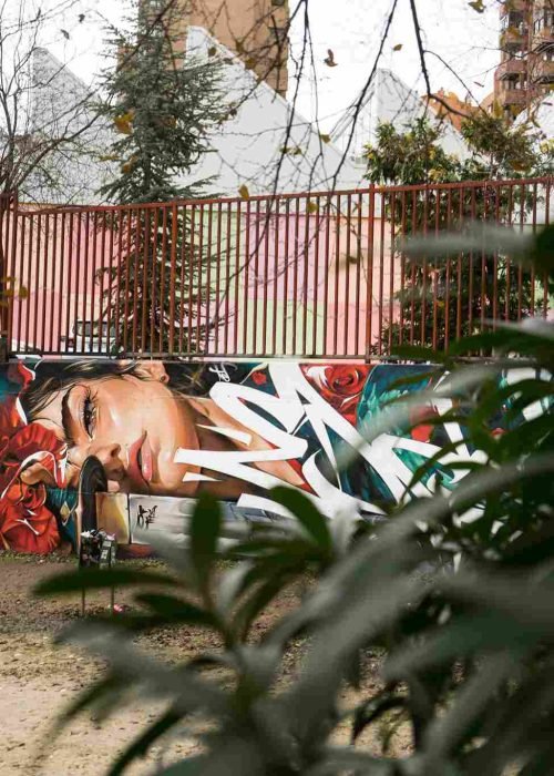 mural madrid the edge of the blade retrato femenino con rosas y serpiente tipografía graffiti blanca barrio del pilar