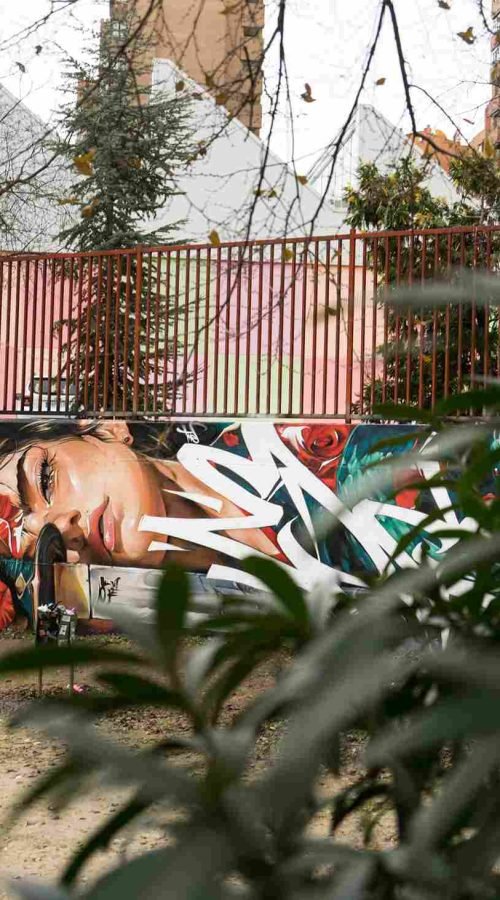 mural madrid the edge of the blade retrato femenino con rosas y serpiente tipografía graffiti blanca barrio del pilar