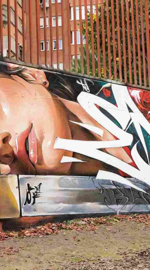 mural madrid the edge of the blade retrato femenino con rosas y serpiente tipografía graffiti blanca barrio del pilar