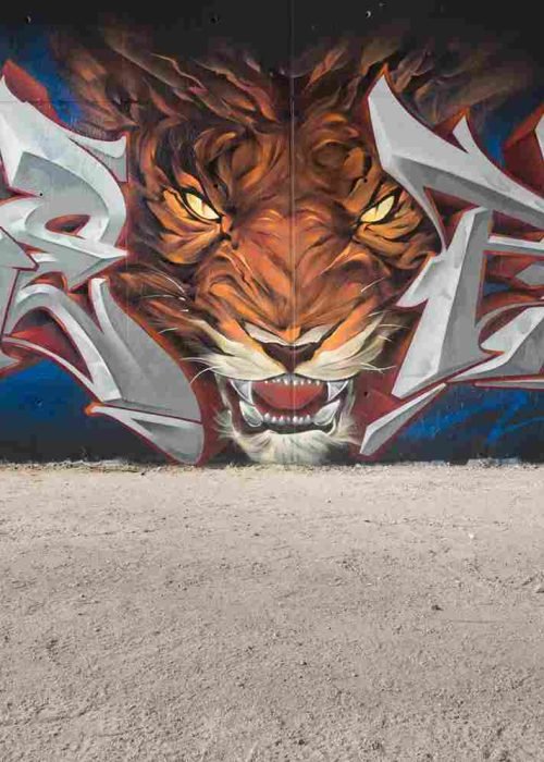 Mural graffiti de tigre frontal con lettering metálico a ambos lados