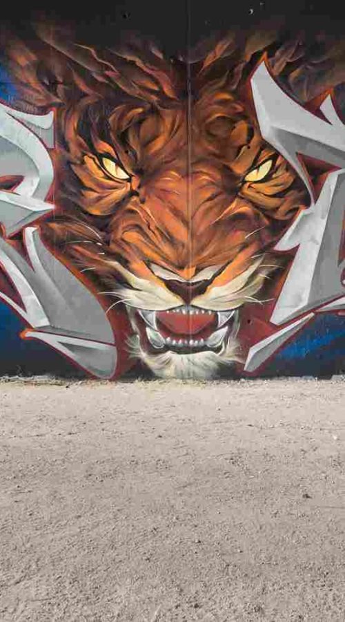 Mural graffiti de tigre frontal con lettering metálico a ambos lados