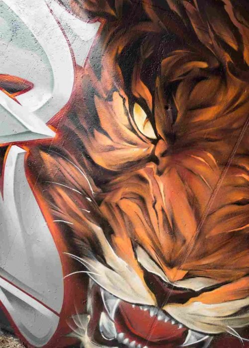 Detalle del ojo y pelaje del tigre en mural hiperrealista