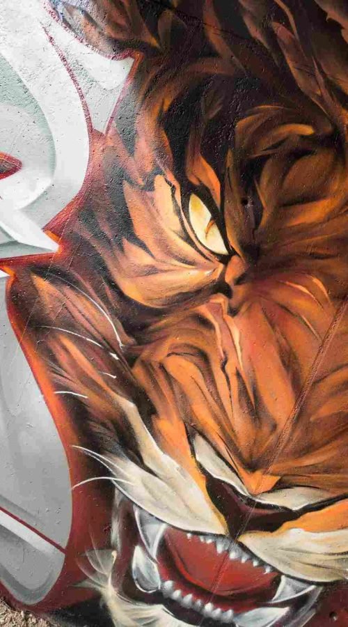 Detalle del ojo y pelaje del tigre en mural hiperrealista