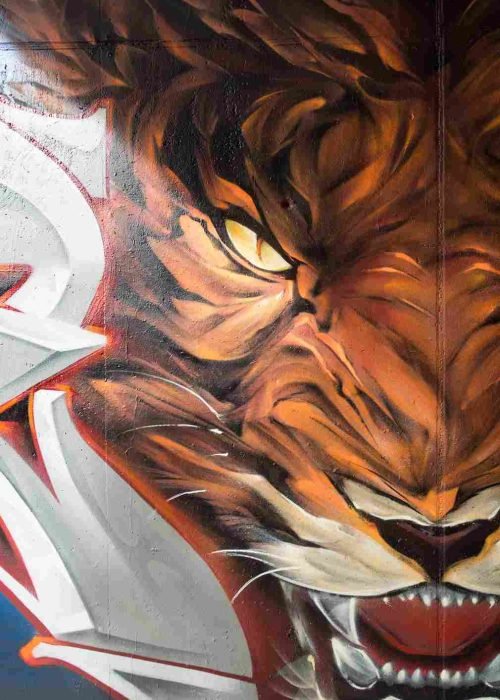 Primer plano del rostro del tigre con mirada intensa en mural