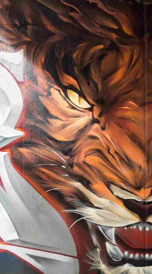 Primer plano del rostro del tigre con mirada intensa en mural