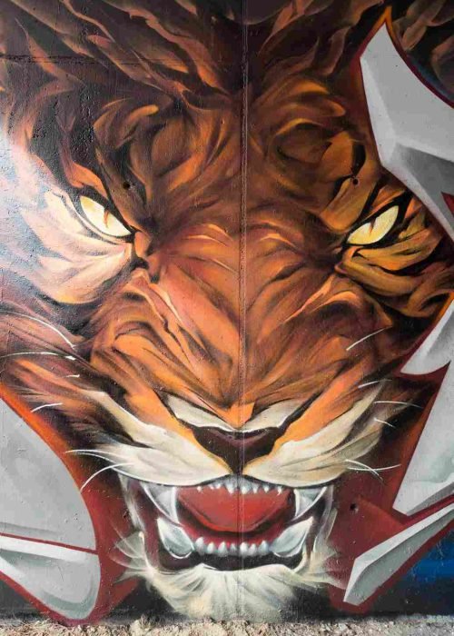 Boca del tigre rugiendo con colmillos, mural graffiti realista