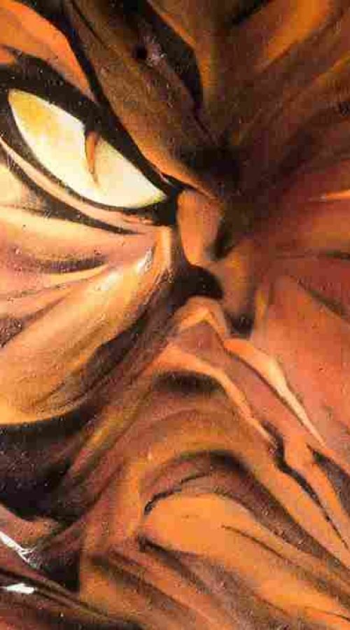 Textura del pelaje naranja y sombras del tigre en mural urbano