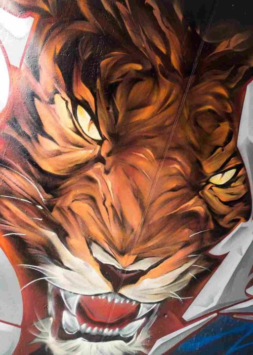 Mural de tigre mostrando colmillos y bigotes con alto detalle