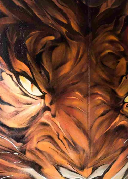 Close-up del entrecejo y la mirada felina del tigre en graffiti